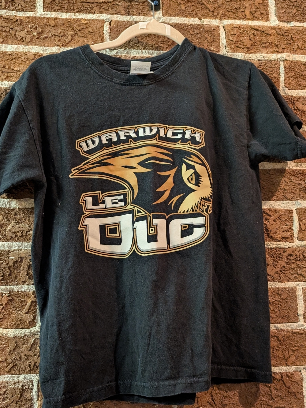 Gildan Black Kids Graphic Tee with Gold Accent Owl Logo